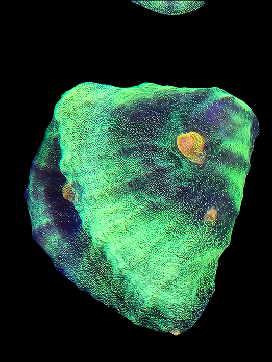 Space Invader Chalice